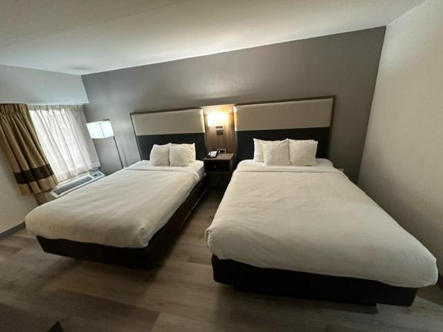 Inn Comfort